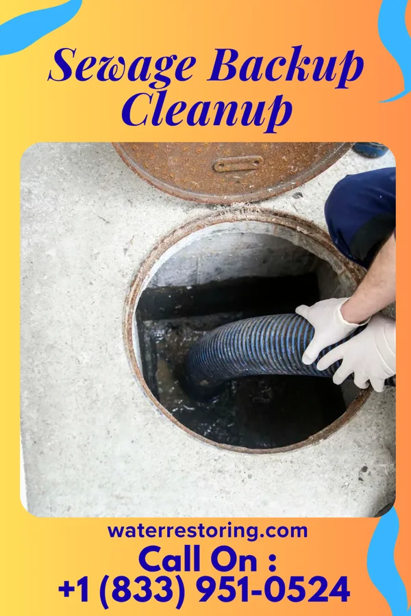 Sewage Backup Cleanup in Caraway, AR